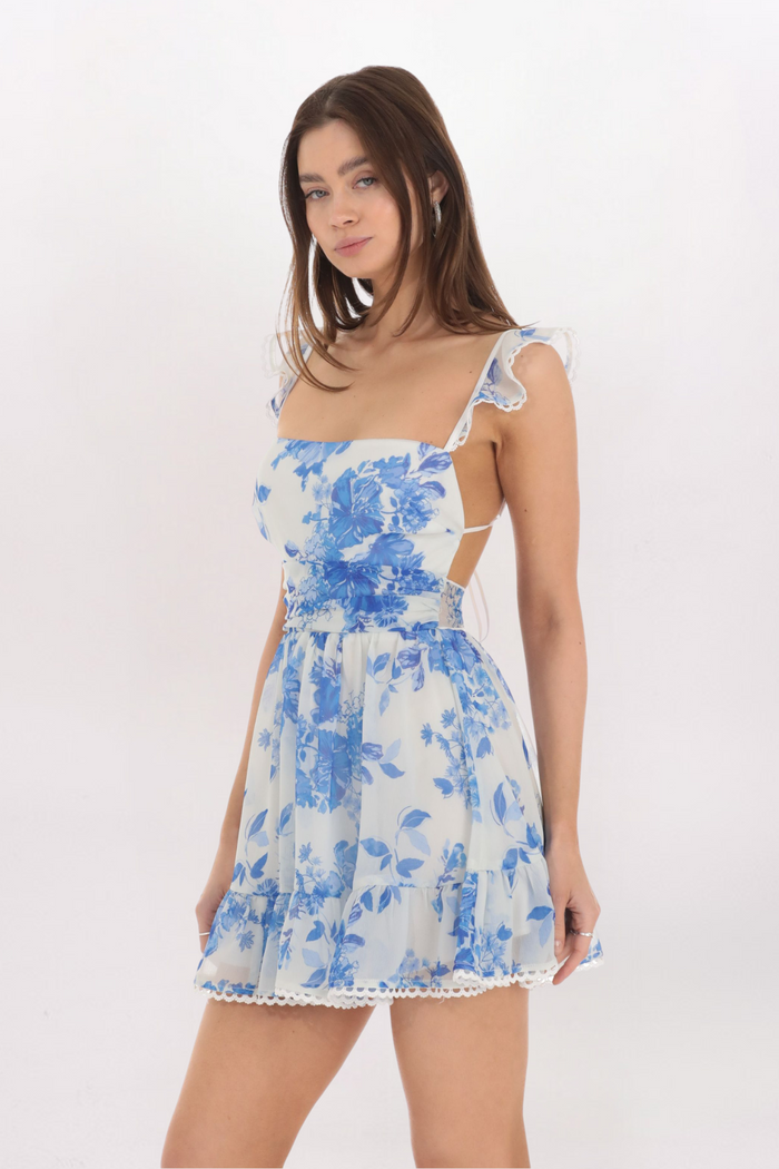 TOILE FLORAL FLARE DRESS