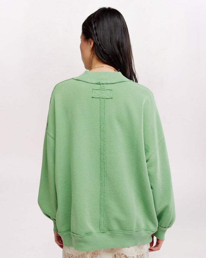 PALM SPRING TURTLE GRAPHIC SWTSHRT, GREEN COMBO