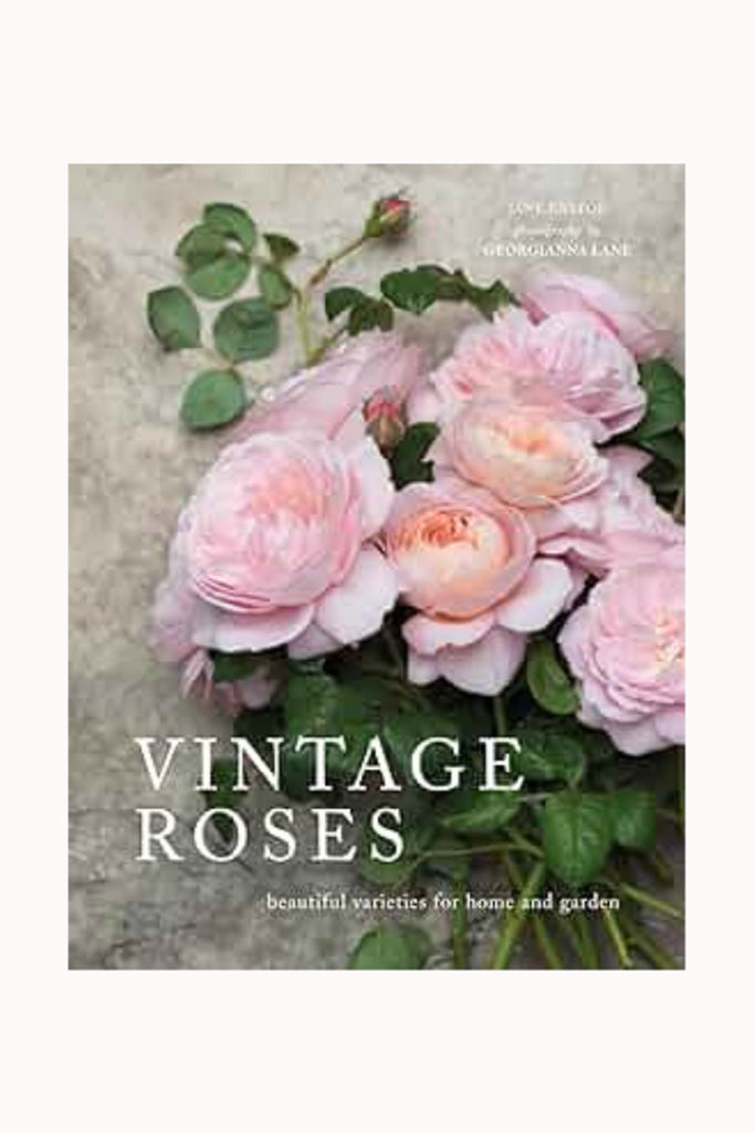 VINTAGE ROSES BOOK