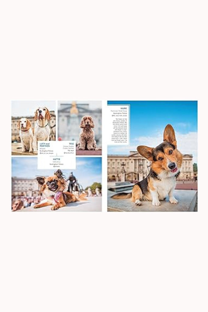 CANINES OF LONDON BOOK